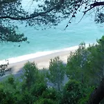 Albachiara