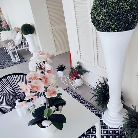 Albachiara Apartment