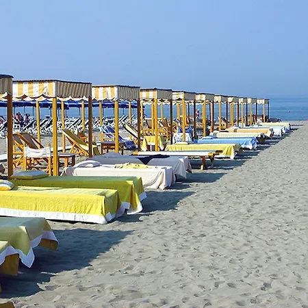 Albachiara