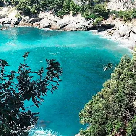 Albachiara Apartmán